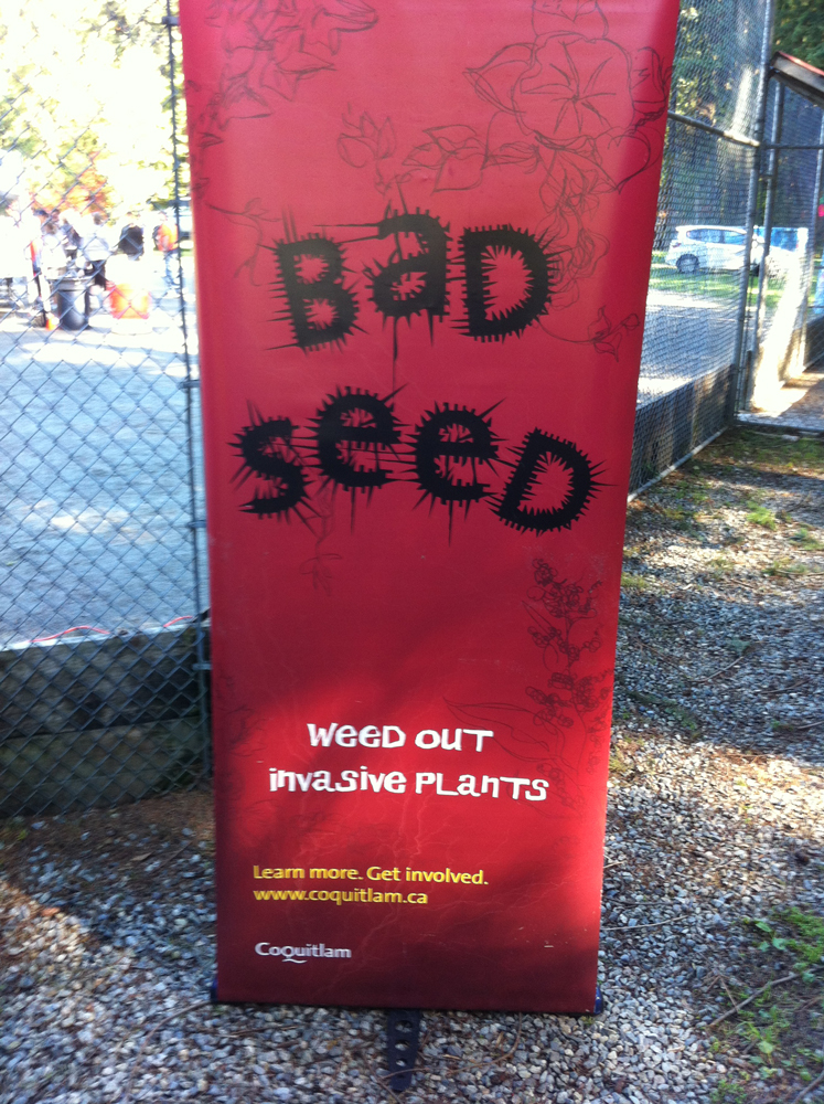 bad-seed